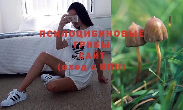 гидропоника Белоозёрский