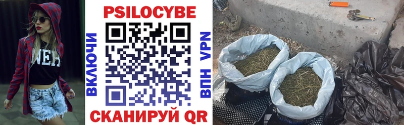 Псилоцибиновые грибы Psilocybine cubensis  Волчанск 